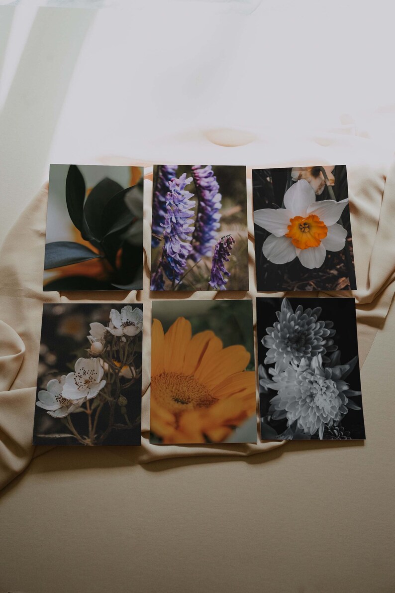 Landscape Photography 5x7 Postcard Set of 6 | Floral Prints | Botanical ...
