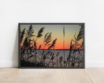 Maryland Landscape Photography | Terrapin Beach | Chesapeake Bay | Original Photography Print | Landscape Print