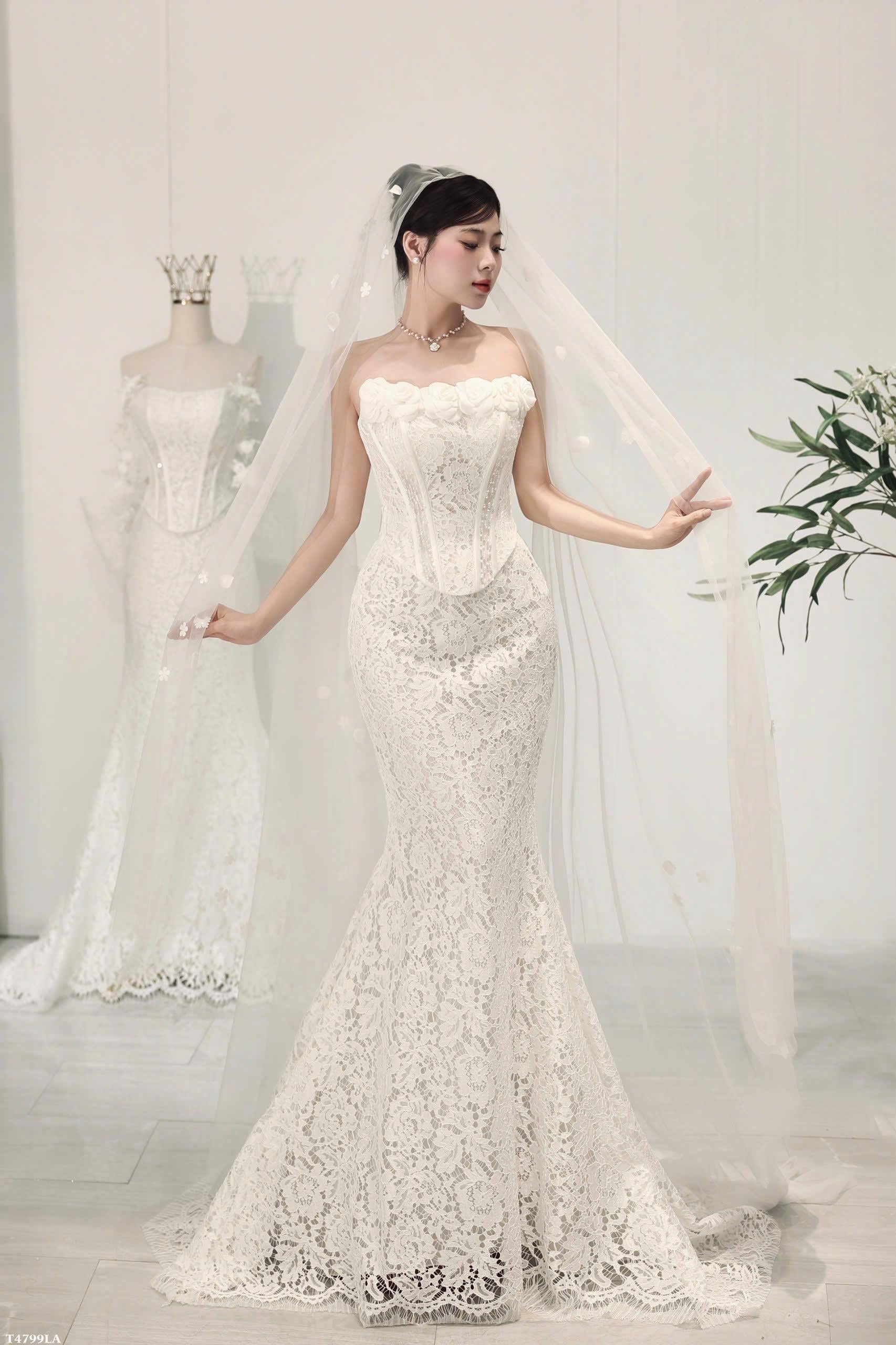 Two Piece Lace Mermaid Dress