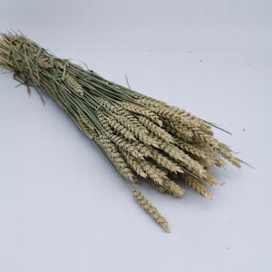 gedroogde bloemen | Tarwe | Natuur | Droogbloemenboeket | Droogbloemenkransen | DIY-projecten | Bruiloftsdecoratie | Accessoires voor thuis