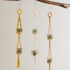 Air Plant Hanging Holder - Handcrafted Cute Air Plants Hanger - Tillandsia Holder - Air Plant Display - Gift Plant Lover I79