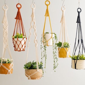 以下が含まれることがあります： 異なる色のコードと鉢植えの植物が付いた、6つのマクラメ製のプラントハンガー。ハンガーは白、茶色、黄色、黒のコードで作られています。植物は白、茶色、黄色、白の鉢に入っています。