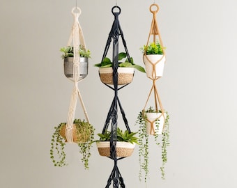 Support pour plante à 3 niveaux sans pampilles - Rehaussez votre jardin d'intérieur ! I73