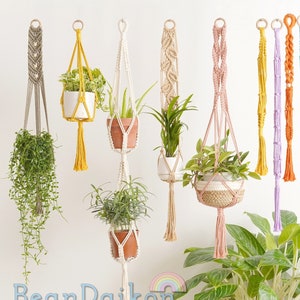 Plant Animal Decorations Houseplant Gifts - Etsy Plant Animal Decorations Houseplant Gifts - Etsy