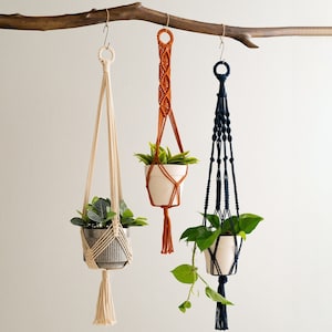 May include: Three macrame plant hangers with different colored cords and tassels. The hangers are holding potted plants with green leaves.