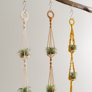 Puede incluir: Tres maceteros colgantes de macramé con anillos de madera y plantas aéreas. Los maceteros están hechos con cordón de algodón natural y están disponibles en blanco, beige y amarillo.