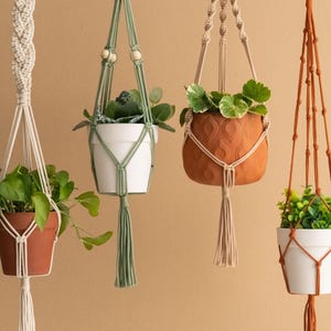 May include: Four macrame plant hangers in different styles and colours. Each hanger is holding a potted plant. The hangers are made from natural fibres and have a rustic look.
