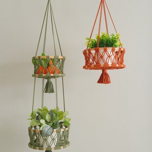 May include: Two macrame plant hangers with wooden rings. The top hanger is green and has two tiers, one with oranges and the other with a green plant. The bottom hanger is orange and has a single tier with a green plant.