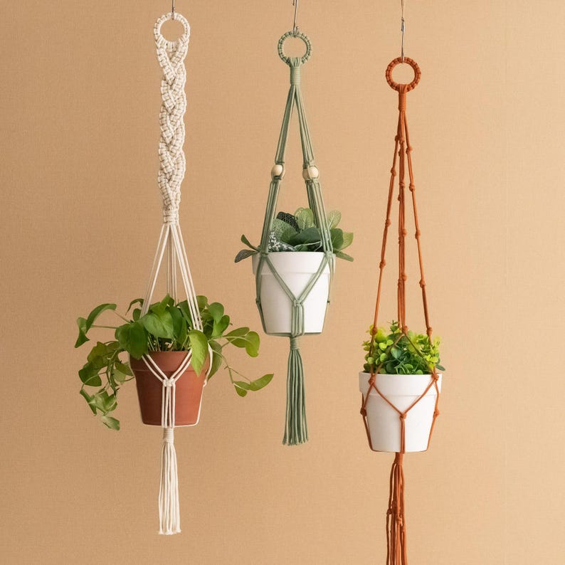 May include: Three macrame plant hangers with different coloured cords and tassels. The hangers are holding small potted plants.