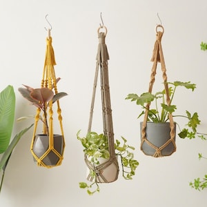 May include: Three hanging macrame plant holders with different colored cords and pots. The holders are suspended from metal hooks. Each holder contains a different plant with green and reddish-brown leaves.