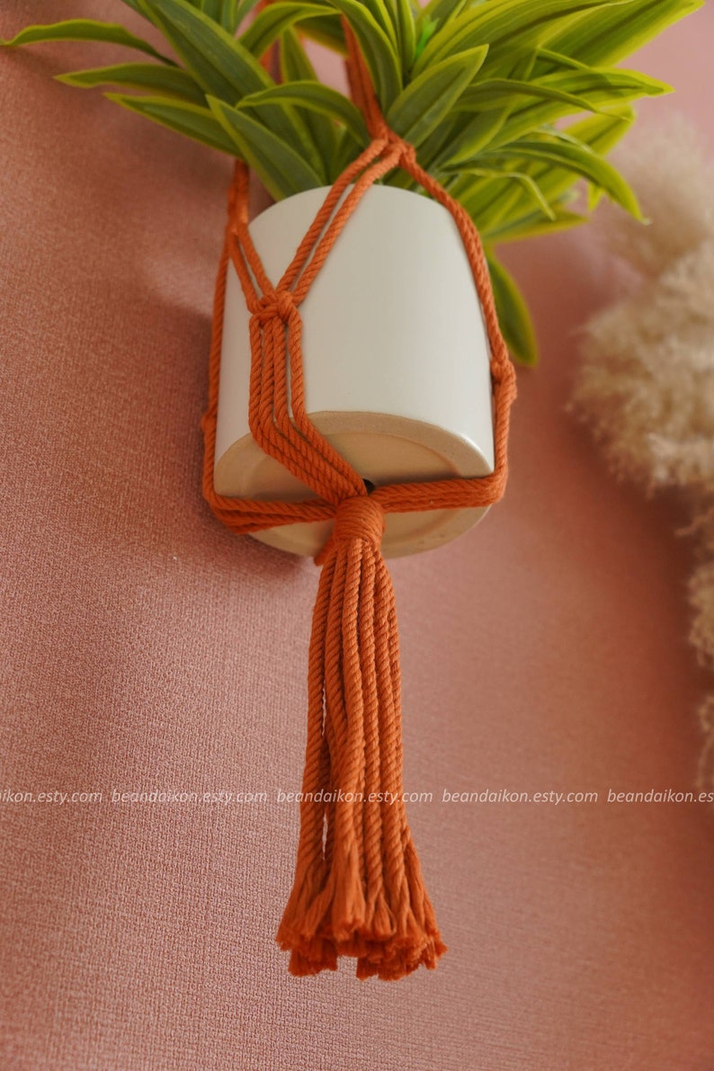 Peut inclure: Un porte-plante en macram&eacute; de couleur terre cuite avec un pot en c&eacute;ramique blanc et une plante verte. Le porte-plante a un pompon en bas.