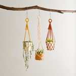 Macrame Plant Hangers