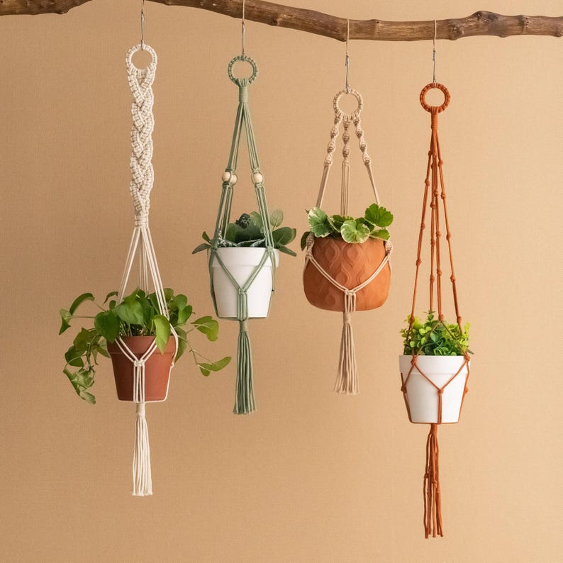 May include: Four macrame plant hangers with different coloured cords and beads, each holding a potted plant. The hangers are suspended from a wooden branch against a beige background.