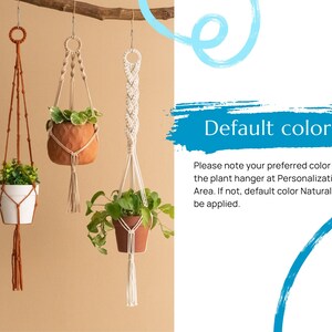 May include: Three macrame plant hangers with different coloured cords. The hangers are hanging from a wooden branch. The hangers are holding small potted plants. The text "Default colour" is written in blue on a blue background. The text below reads "Please note your preferred colour for the plant hanger at Personalization Area. If not, default colour Natural will be applied."