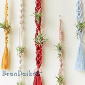 Air Plant Holder, Macrame Air Plant Hanger, Unique Air Plant Display, Macrame Wall Hanging, Boho Decor, Air Plant Terrarium,Gift For Her H15