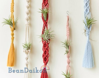 Air Plant Holder, Macrame Air Plant Hanger, Unique Air Plant Display, Macrame Wall Hanging, Boho Decor, Air Plant Terrarium,Gift For Her H15