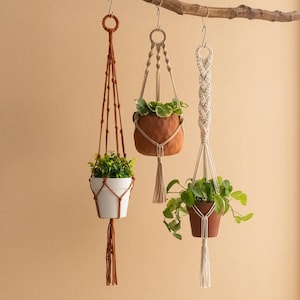 May include: Three macrame plant hangers with different styles and colours. The hangers are made with natural fibres and have tassels. The hangers are holding potted plants.