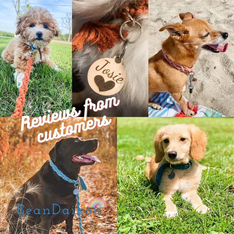 Dog Leash and Collar Set Personalized Macrame Dog Collar Etsy