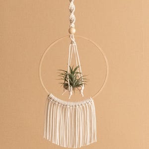 Macrame Air Plant Hanger, Air Plant Holder, Macrame Wall Planter, Macrame Decor, Indoor Plant Hanger, Indoor Plant, Unique Plant Display I88