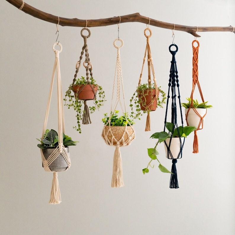 May include: Six macrame plant hangers with different designs and colors, each holding a potted plant. The hangers are made of natural fibers and have a rustic, bohemian style.