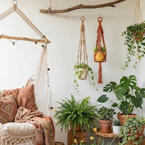 No Fringe Plant Hanger, Garden Lover's Gift, Planter Hanging, Plant Holder Outdoor, Gift For Gardener, Tassel Free Macrame, Garden Gift H70 image 9
