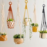 Macrame Plant Hangers