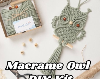 Owl Craft Kit, Boho Decor, Macrame Wall Hanging, Diy Kit For Adults, Macrame Owl, Best Friend Gift, Diy Craft Kits, Owl Wall Decoration K51