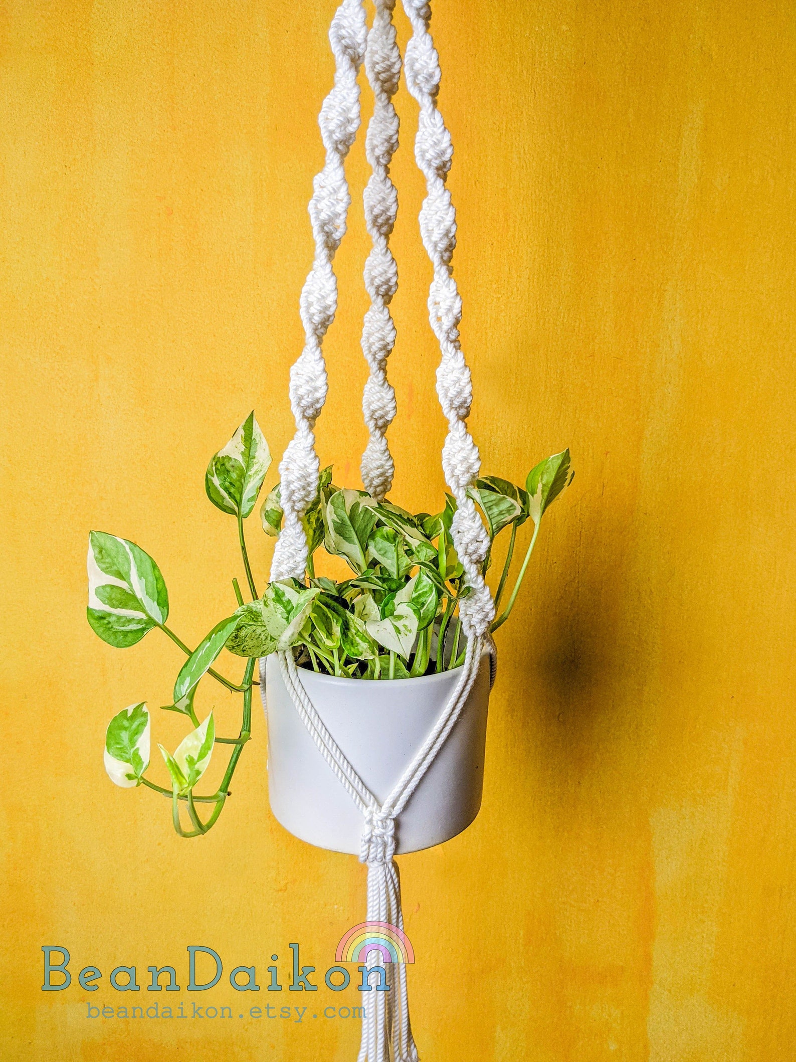 Large Plant Hanger DIY Kit 12 Colors DIY Macrame Kit DIY Etsy