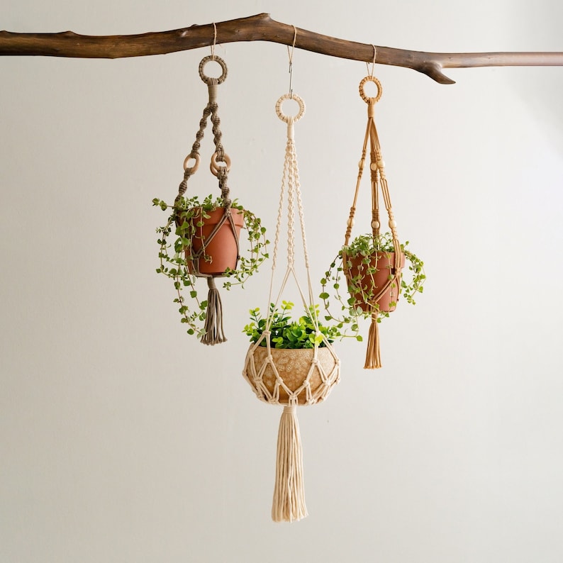 May include: Three macrame plant hangers with different colored cords and wooden beads. The hangers are hanging from a wooden branch. Each hanger has a potted plant with green leaves.