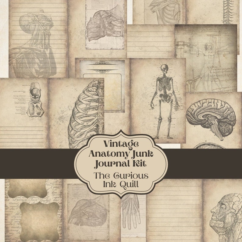 Vintage Anatomy Junk Journal Kit 19 Page Pack DIGITAL - Etsy