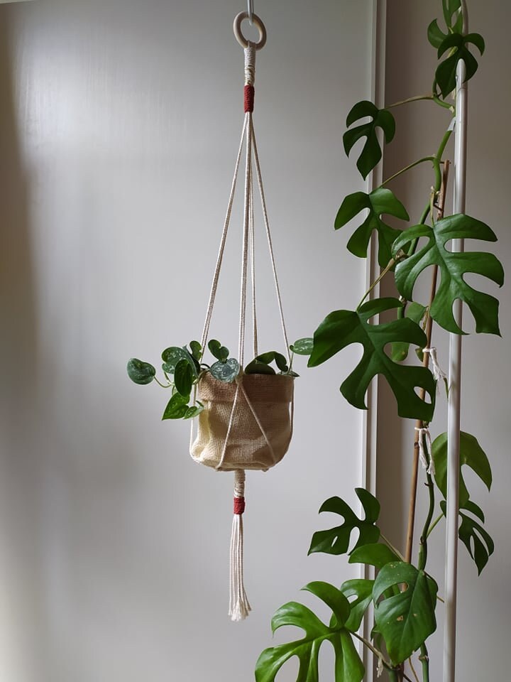 Ada - Suspension Pour Plante en Macramé