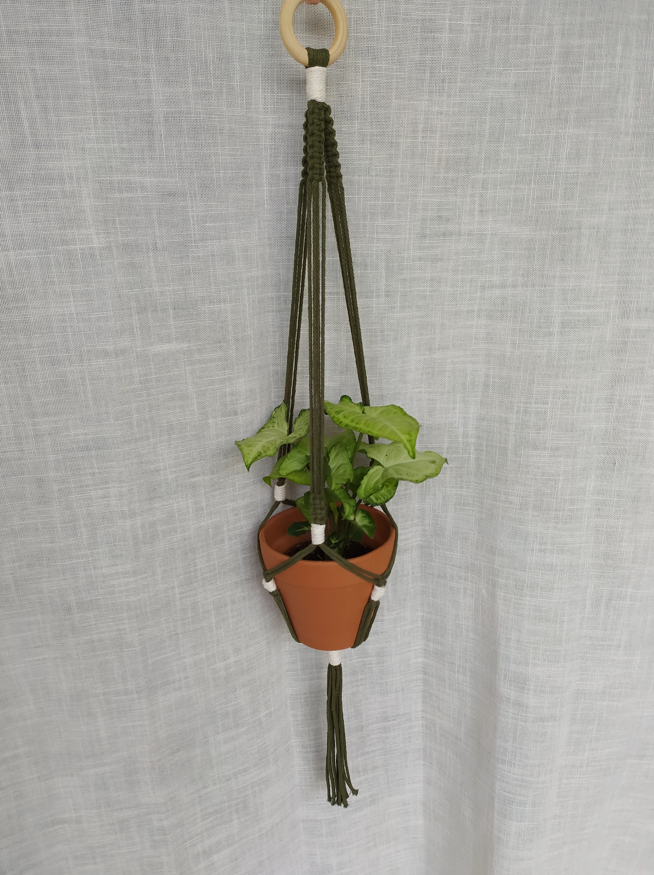 Amber 2 - Suspension Bicolore Pour Plante en Macramé | Plant Hanger