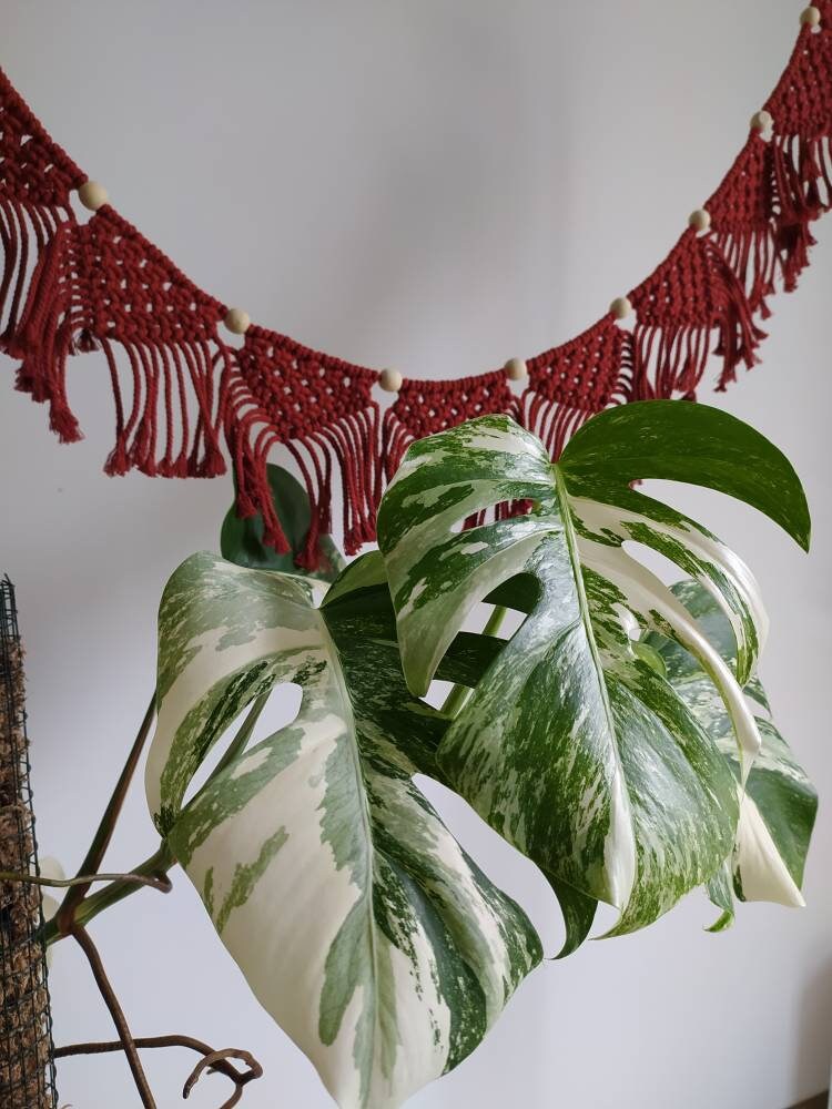 Guirlande de Fanions en Macramé