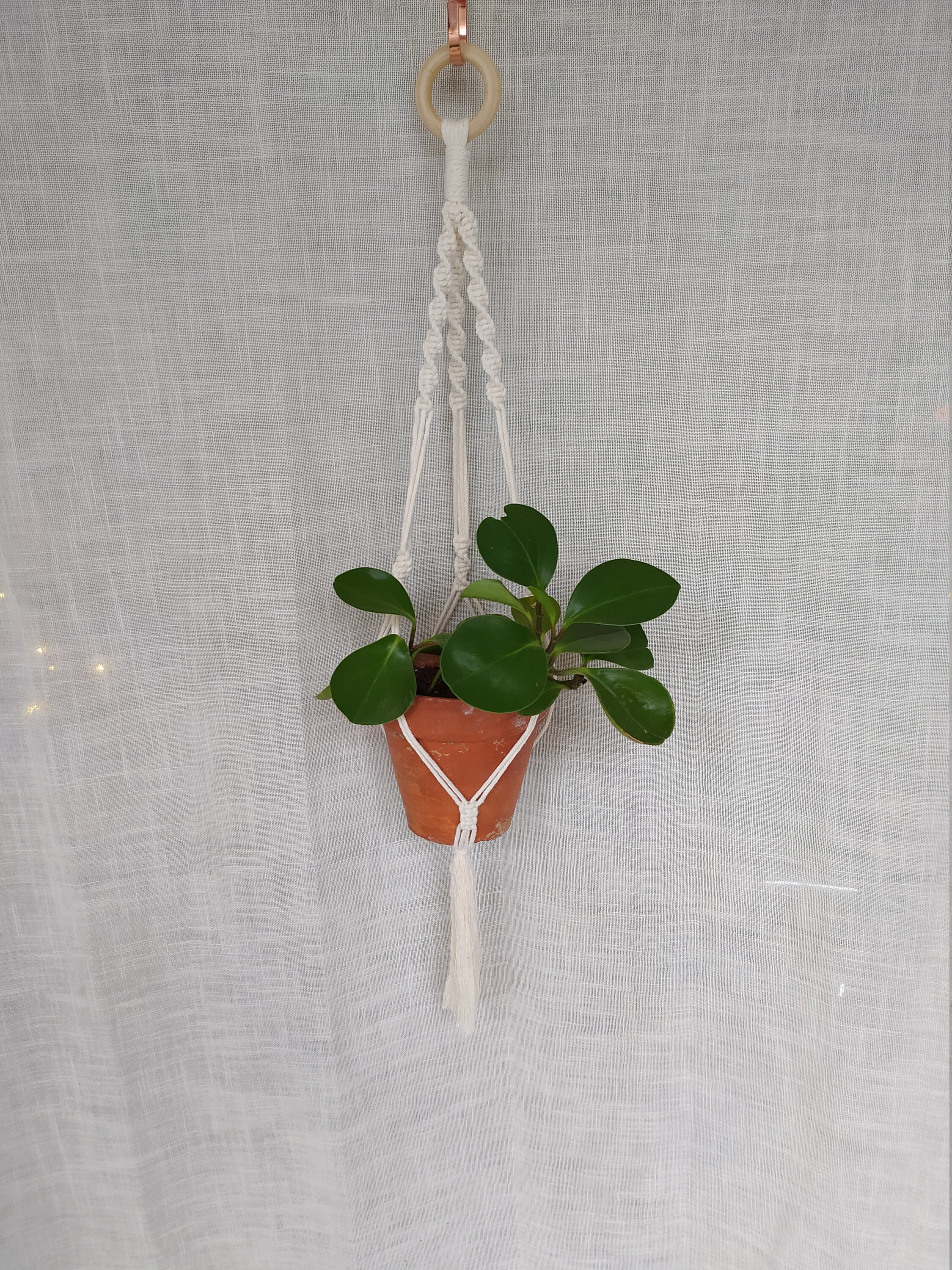 Agata - Suspension Pour Plante en Macramé