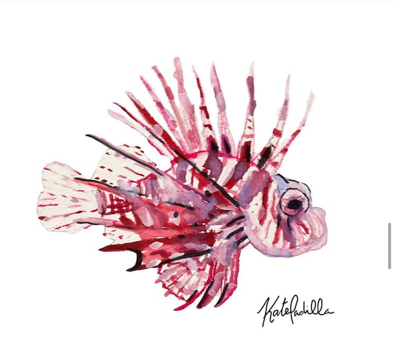 ミノカサゴの水彩画アートプリント | 海の動物イラスト | 海岸沿いの 