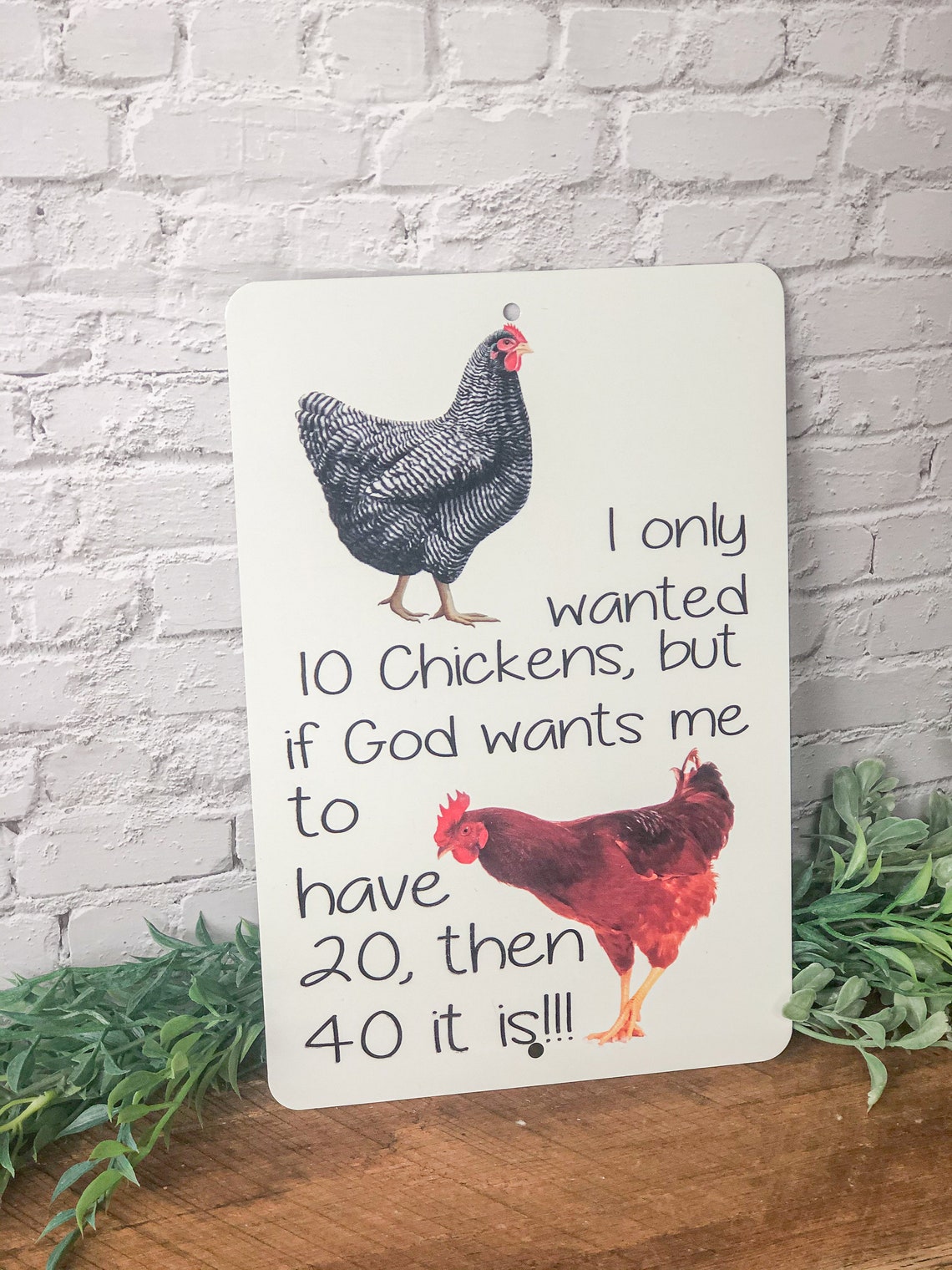 Chicken Coop Sign for Chicken Lovers Chicken Math Sign Funny Etsy