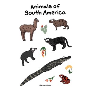 Animals of South America sticker sheet image 2