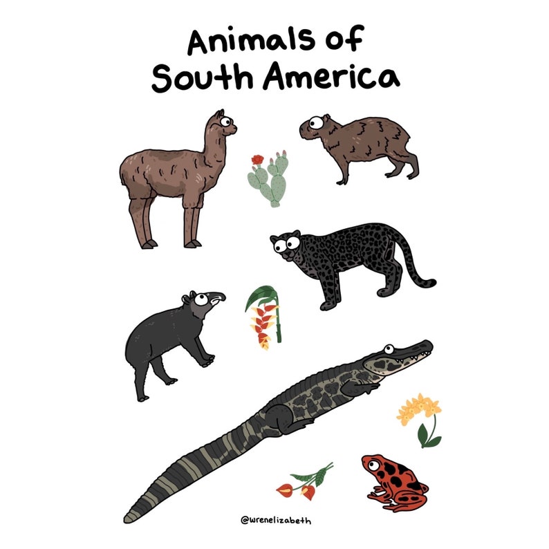 Animals of South America sticker sheet image 2