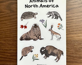 Hoja de pegatinas de animales de América del Norte