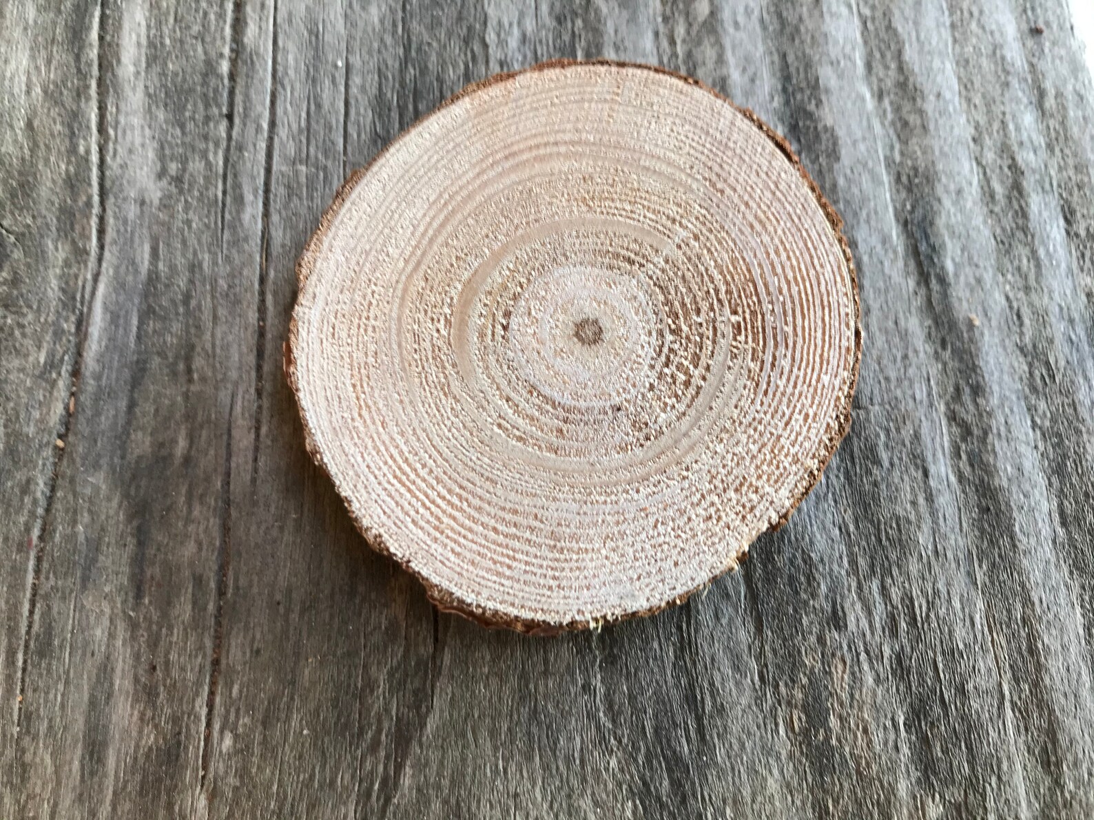 Set of 200 Various Sized Natural Wood Slices Natural Wood Etsy