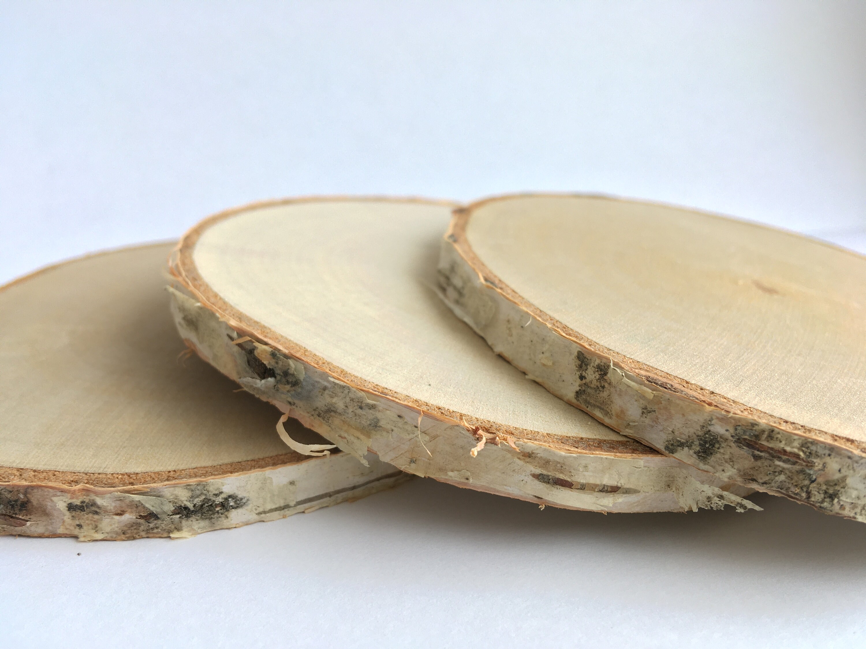 Set of 10 Birch Wood Coasters Etsy