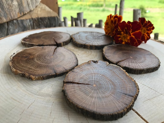 20 Oak Wood Slices. Rustic Wood Slices 