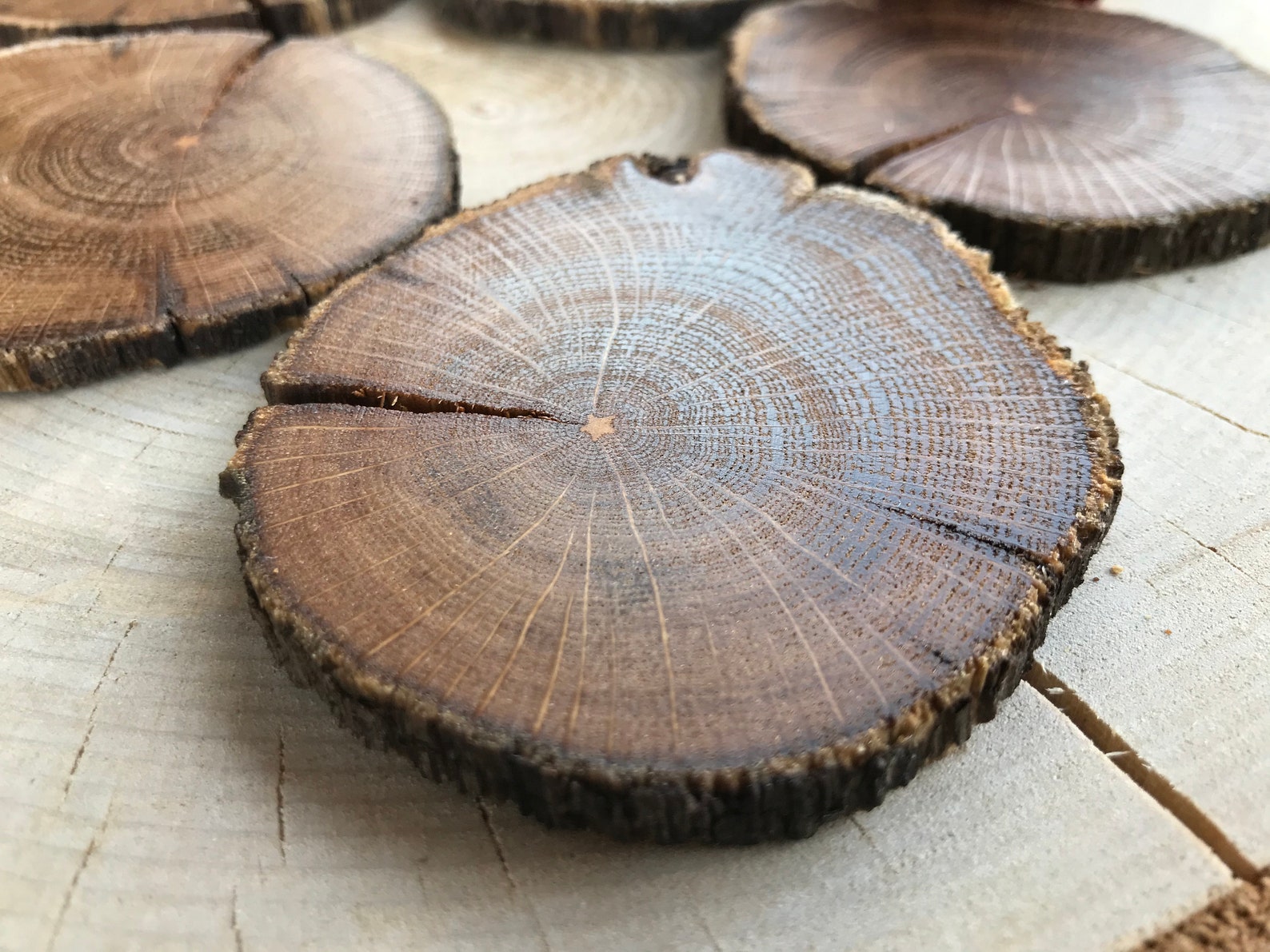 20 Oak Wood Slices. Rustic Wood Slices Etsy
