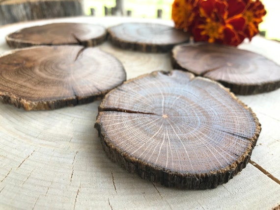 20 Oak Wood Slices. Rustic Wood Slices 
