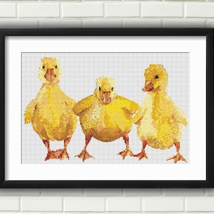 Può includere: Tre paperi gialli con becchi e zampe arancioni sono in piedi in fila. I paperi sono rivolti in avanti e hanno la testa leggermente inclinata di lato. Lo sfondo è un muro bianco.