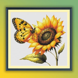 May include: A yellow sunflower with a brown center and a yellow butterfly with black markings on its wings. The sunflower is in bloom and has green leaves.