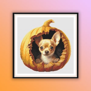 May include: A small brown and white chihuahua dog peeking out of a carved orange pumpkin. The pumpkin has a green stem and is on a white background.