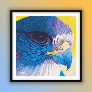 Falke Medizin Kreuzstichmuster, PDF Anleitung, Raptor Auge Kreuzstich, Wildvögel, Handstickerei, Nadelspitze