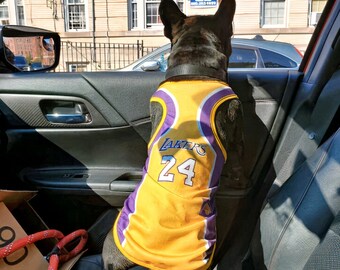 dog baseball jerseys personalized