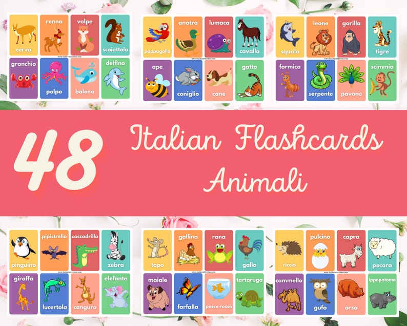 48 Italian Flashcards Animali Etsy